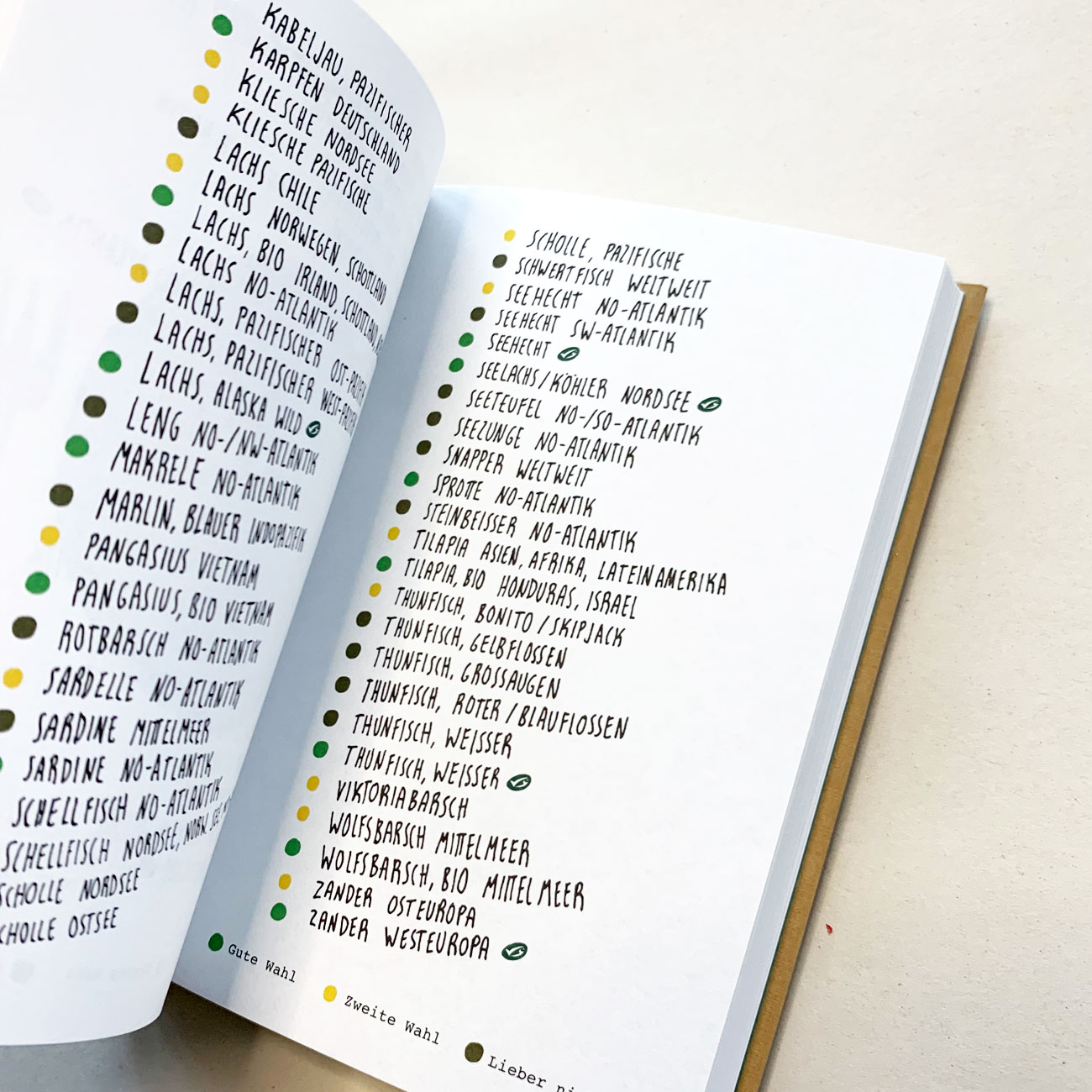 To Cover, Innenansicht, illustriert, beschriftet, Handlettering,