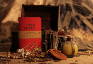 Character Journals, Dungeons and Dragons, Field Notes