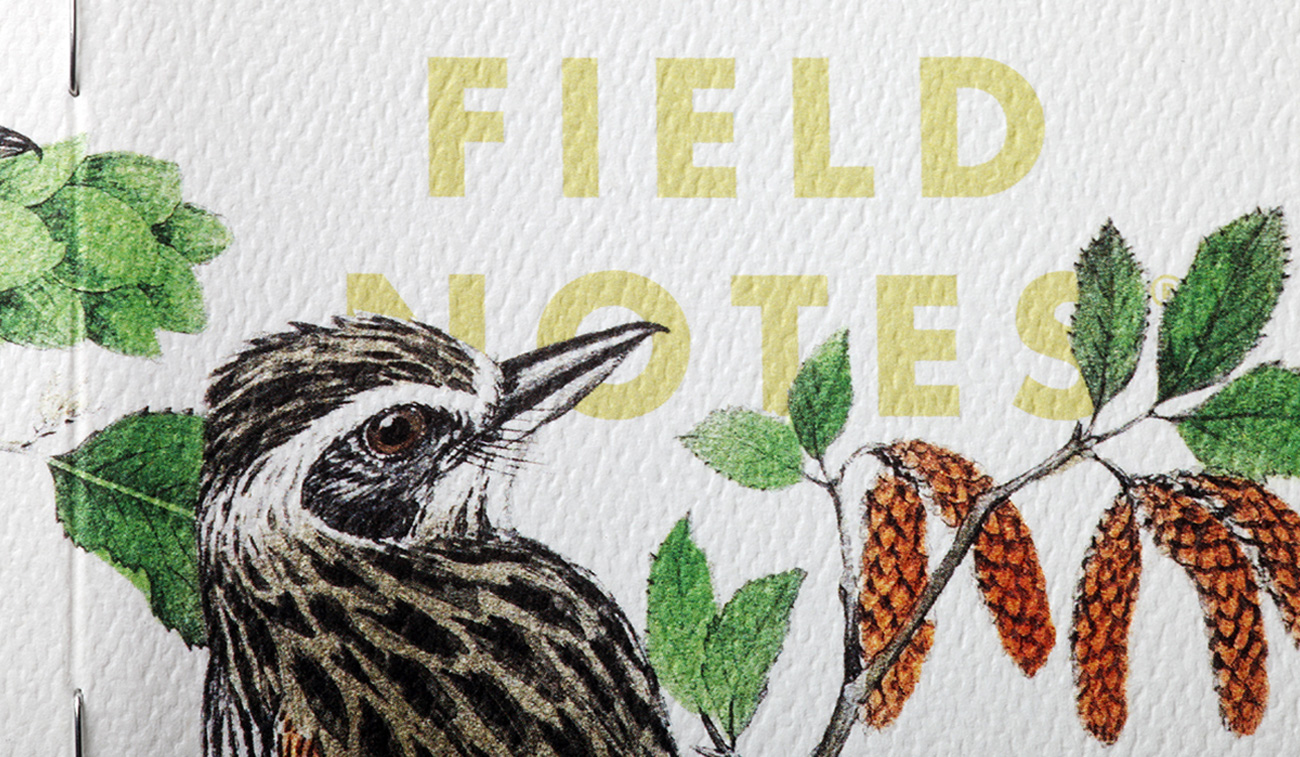 Field Notes Birds and Trees of North America, Datail