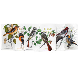 Field Notes Birds and Trees notebooks Serie B
