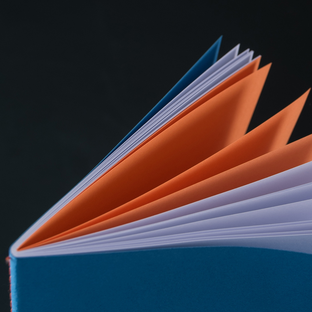 le typographe Notizheft, Innenseiten