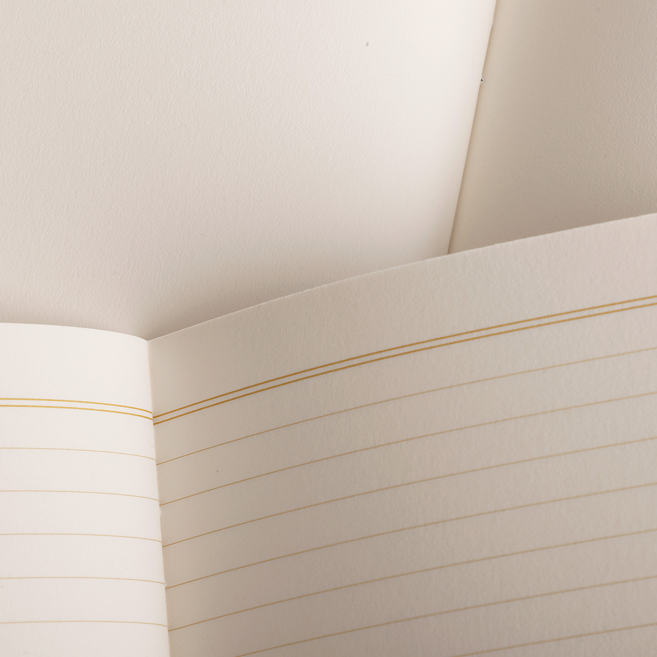 FIELD NOTES - HUNTERS MOON – Bild 2