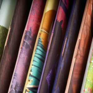 Field Notes 3 Notizhefte, National Parks Edition, geklammert,